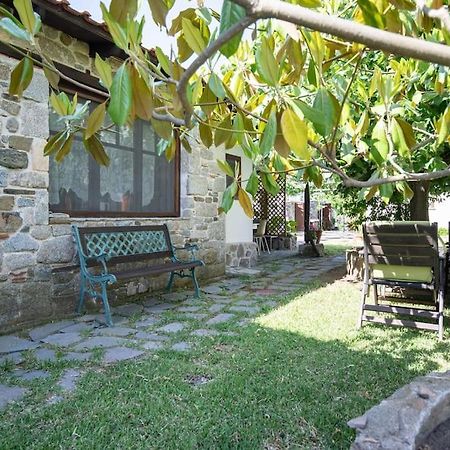Traditionelles Appartement Athos Shadow Am Meer Paralia Sikias Экстерьер фото