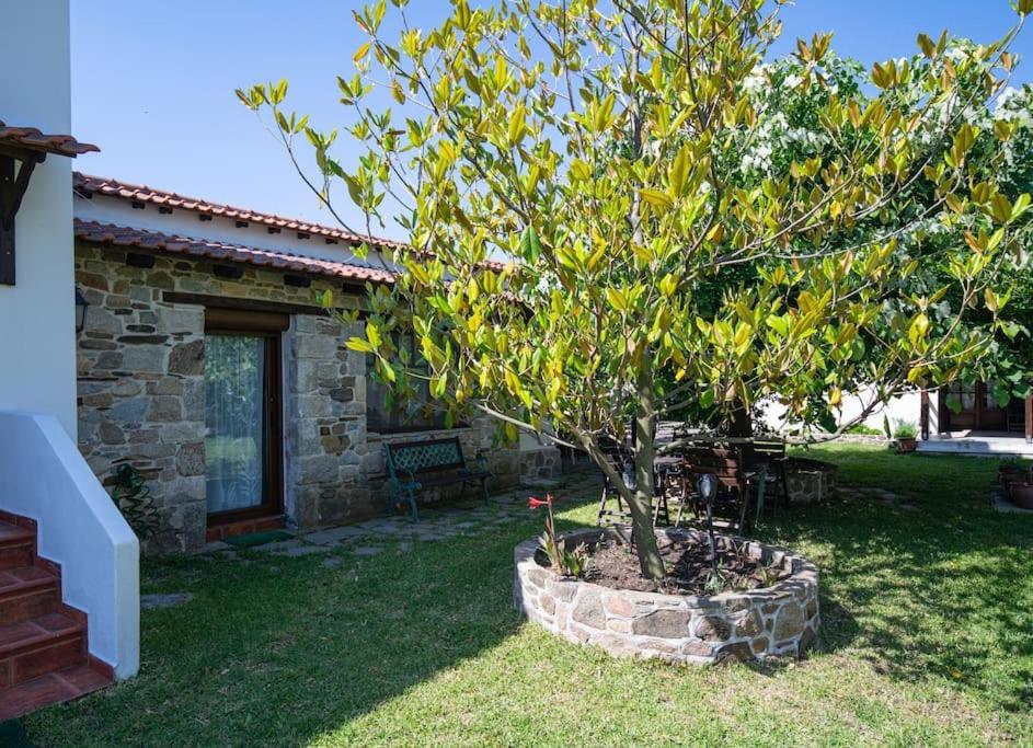 Traditionelles Appartement Athos Shadow Am Meer Paralia Sikias Экстерьер фото
