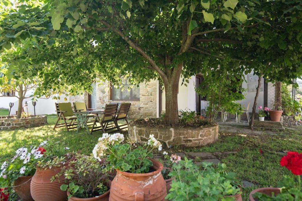 Traditionelles Appartement Athos Shadow Am Meer Paralia Sikias Экстерьер фото